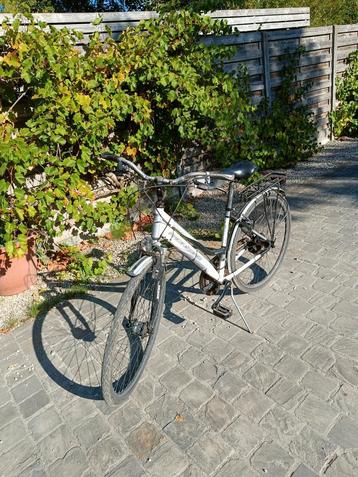 Damesfiets - kotfiets beschikbaar voor biedingen