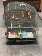 Vogel kooi met benodigdheden, Dieren en Toebehoren, Vogels | Hokken en Kooien, Ophalen, Zo goed als nieuw