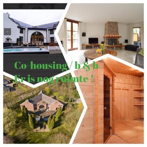 Vegan huisgenoten gezocht Limburg België villa landhuis, Contacten en Berichten, Huisgenoten gezocht