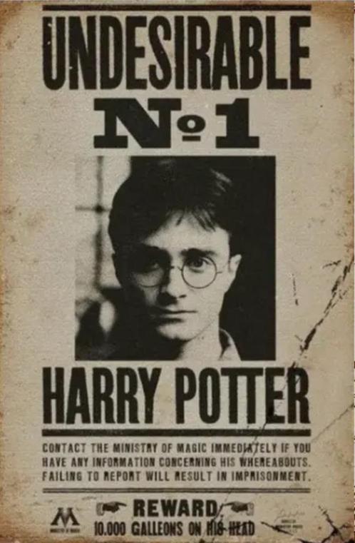 Reclamebord vintage Harry Potter wanted - Undesirable N1, Verzamelen, Merken en Reclamevoorwerpen, Zo goed als nieuw, Reclamebord
