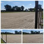 pistezand paarden