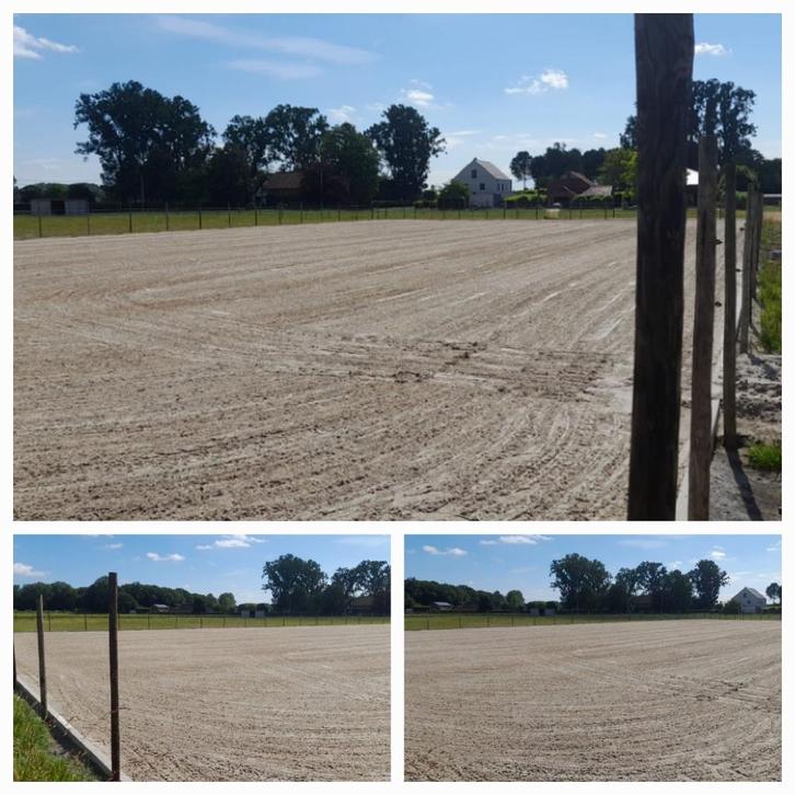 pistezand paarden, Dieren en Toebehoren, Paarden