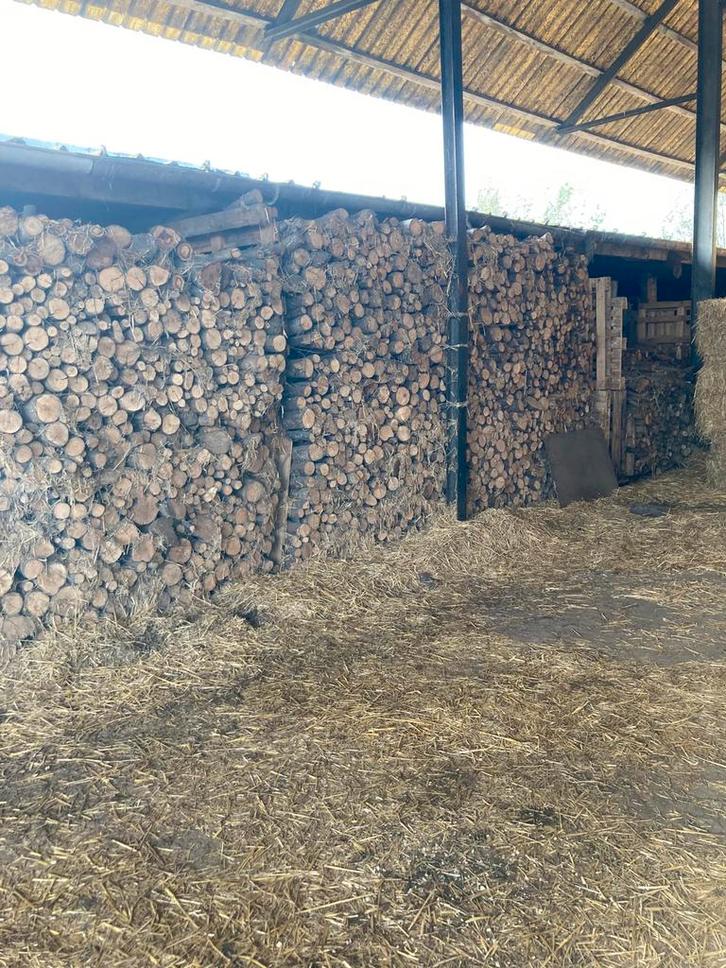 Droog brandhout, Tuin en Terras, Brandhout, Blokken, Elzenhout, 6 m³ of meer, Ophalen