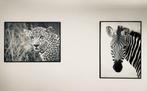 2 x zwart-wit canvas luipaard en zebra, Huis en Inrichting, 50 tot 75 cm, Overige typen, Ophalen of Verzenden, Zo goed als nieuw