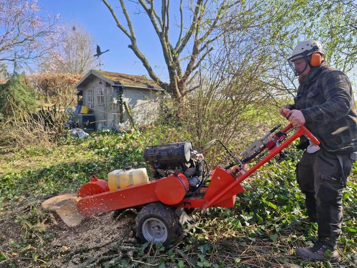 Service voor snoeien van stronken verwijderen van wortels, Diensten en Vakmensen, Tuinmannen en Stratenmakers