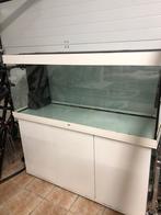 Aquarium Rio 450 litres juwel