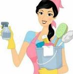 Femme de ménage, Offres d'emploi