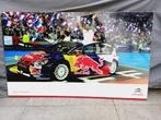 Groot reclamebord Citroën Sébastien Loeb wereldkampioen, Reclamebord, Zo goed als nieuw, Ophalen