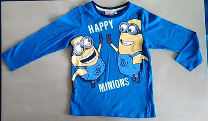 Blauwe longsleeve minions, maat 122/128, Kinderen en Baby's, Kinderkleding | Maat 122, Gebruikt, Jongen, Shirt of Longsleeve, Ophalen of Verzenden