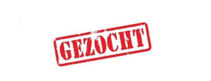 SPOED: ZELFSTANDIGE RUITER, Dieren en Toebehoren, Paarden, Meerdere dieren, L, 160 tot 165 cm, Met stamboom, Gechipt, Ontwormd