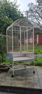 Cage perroquet sans accessoires, Enlèvement