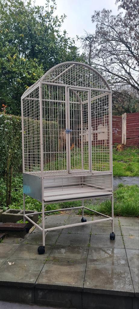 Cage perroquet sans accessoires, Animaux & Accessoires, Oiseaux | Cages & Volières, Enlèvement