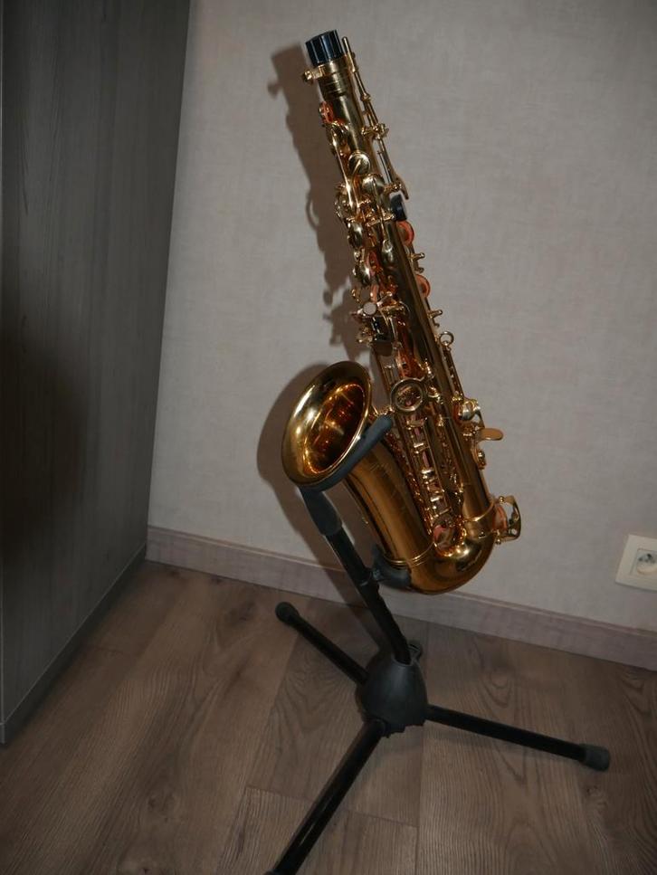 SML Paris A620 II Alto Saxofoon – Compleet Pakket, Muziek en Instrumenten, Blaasinstrumenten | Saxofoons, Ophalen of Verzenden