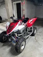 Yamaha raptor 700r special edition, Motoren