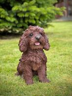 HotAnt - Labradoodle, Ophalen