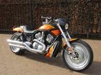 Harley davidson V-rod, Motoren, Bedrijf, 2 cilinders, 1130 cc, Chopper
