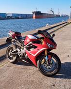Triumph Daytona 675 te koop!  Painted livery, no stickers., Motoren, Motoren | Triumph, 675 cc, Sportuitlaat, Motorrijbewijs A