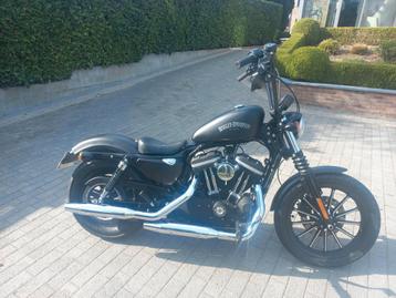 Harley-Davidson Sportster Iron 883, Motoren, Motoren | Harley-Davidson, 2 cilinders, Chopper, 883 cc, Particulier