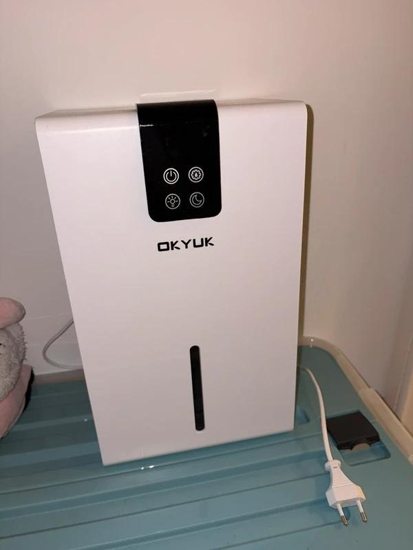 Déshumidificateur électrique, Electroménager, Équipement de traitement de l'air, Comme neuf, Déshumidificateur, Enlèvement ou Envoi