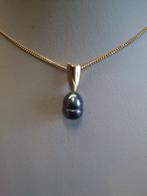 18K geelgouden zwarte gekweekte parelhanger, Ophalen of Verzenden, Nieuw, Geel, Goud