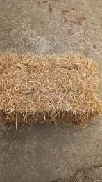 Stro in kleine pakken, Zakelijke goederen, Landbouw | Aardappelen, Groenten, Fruit en Vlees, Ophalen