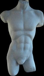 Griekse Mannenbuste – Klassieke Torso in Kunststof, Ophalen, Zo goed als nieuw