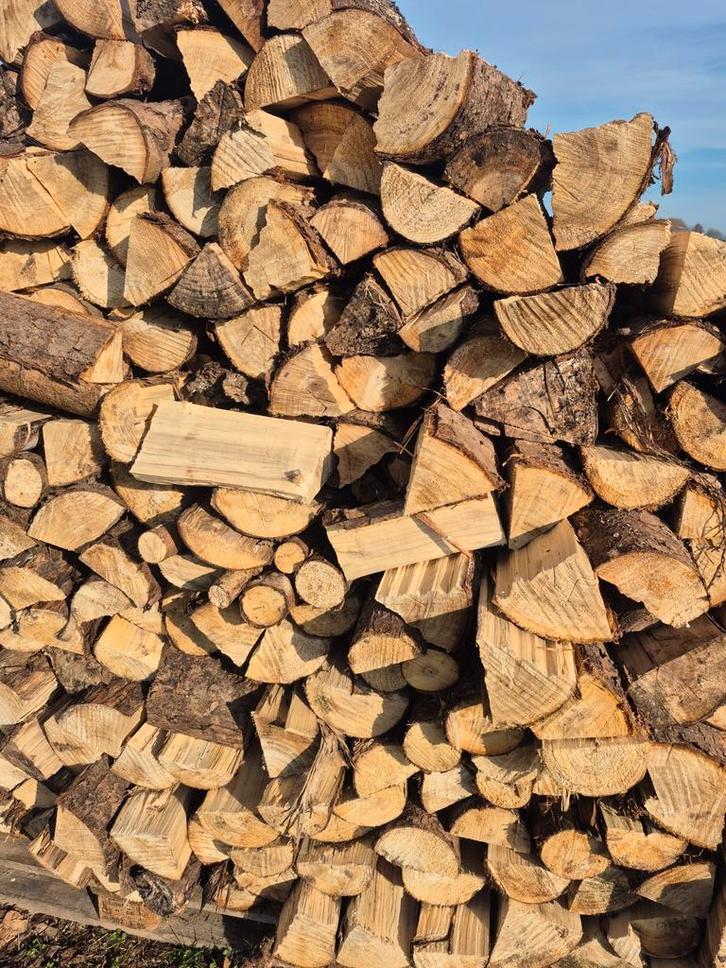 Half gedroogd brandhout, Jardin & Terrasse, Bois de chauffage, Enlèvement