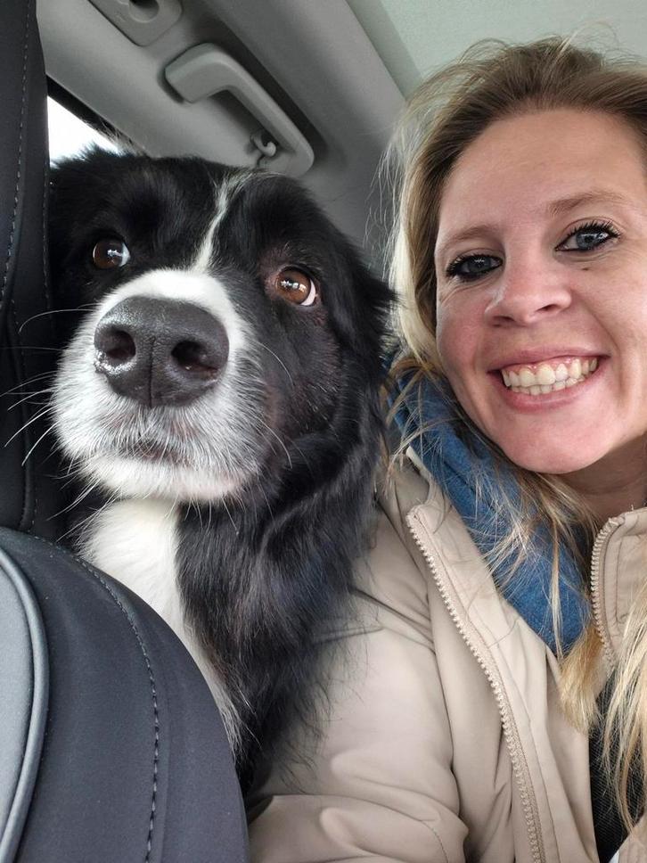 DRINGEND Hondmodellen 2de jaar, Dieren en Toebehoren, Dierenvoeding, Ophalen