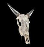 Prachtige handgegraveerde schedel., Ophalen, Zo goed als nieuw, Schedel