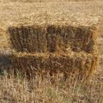 Tarwestro van uitstekende kwaliteit, Zakelijke goederen, Landbouw | Veevoer, Ophalen