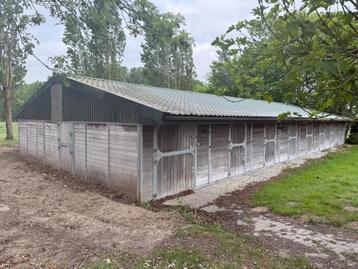 Zeer nette & robuuste systeemstal – 10 ruime paardenboxen beschikbaar voor biedingen