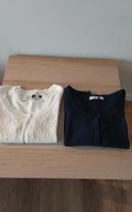 2 korte vestjes, Enlèvement ou Envoi, Porté, Taille 36 (S), Bleu