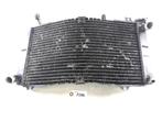 Radiator D1-37881, Motoren, Onderdelen | Merk-onafhankelijk