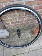 Wielen koersfiets RC31 Shimano naaf, Fietsen en Brommers, Ophalen, Zo goed als nieuw, Racefiets, Wiel