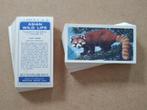 Asian Wild Life complete set 50 chromos dieren Brooke Bond, Ophalen of Verzenden, 1960 tot 1980, Dier