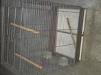 Vogelkooi, Dieren en Toebehoren, Ophalen, Vogelkooi