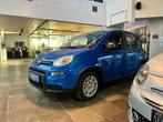 Fiat Panda HYBRID S7* URBAN PACK* PDC ACHTER* UCONNECT LIVE, Auto's, Fiat, Zwart, Panda, Blauw, Bedrijf