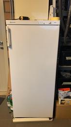 Diepvries Bauknecht, Elektronische apparatuur, Vriezers en Diepvrieskisten, Ophalen, Gebruikt, 60 tot 90 cm, 120 tot 140 cm
