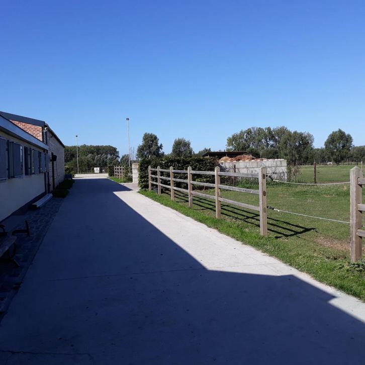 Stal te huur privé stal te Breendonk/Londerzeel, Dieren en Toebehoren, Stalling en Weidegang, Stalling, Weidegang, 1 paard of pony