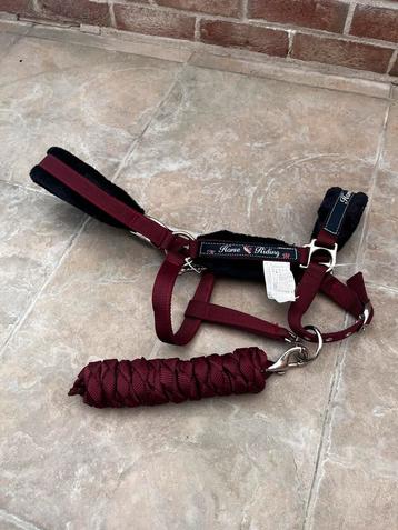 Halster maat 3 en touw beschikbaar voor biedingen