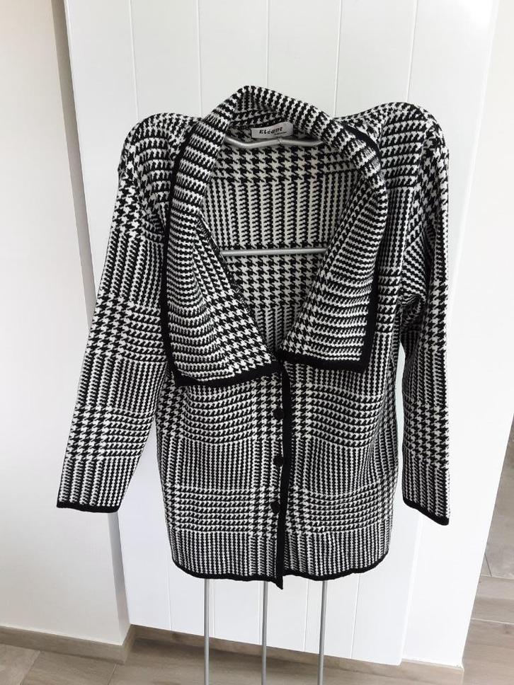 Z.g.a.Nieuw: Mooie wollen trui / Vest maat 38 / 40 *Eléane*, Kleding | Dames, Truien en Vesten, Zo goed als nieuw, Maat 38/40 (M)