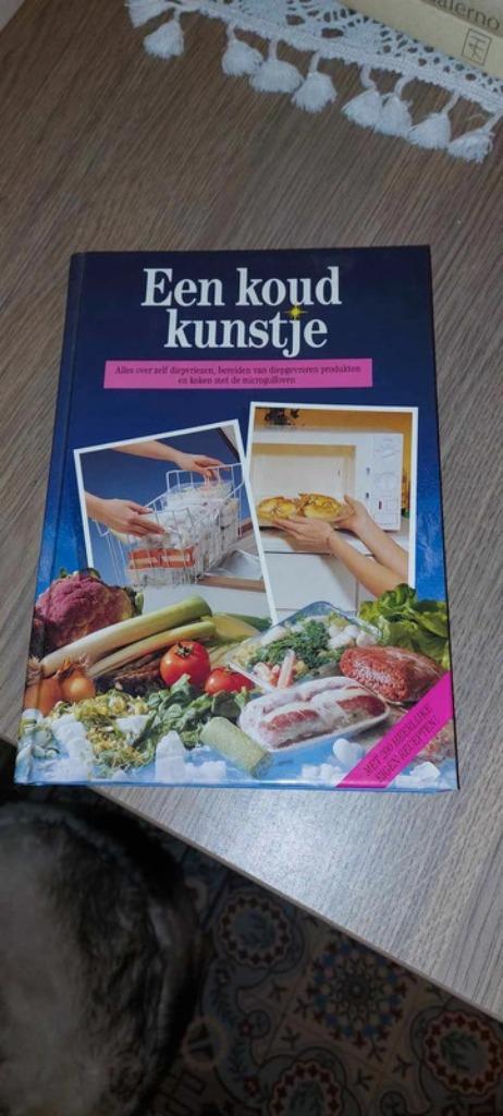 Een koud kunstje / Alles over zelf diepvriezen, Livres, Santé, Diététique & Alimentation, Utilisé, Autres types, Envoi