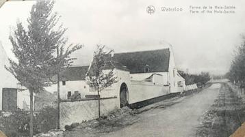 5 POSTKAARTEN VAN WATERLOO UIT HET BEGIN VAN DE 20E EEUW - P beschikbaar voor biedingen