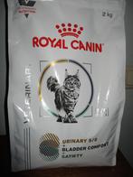 kattenbrokken, Ophalen of Verzenden, Kat