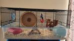 Hamsterkooi, Dieren en Toebehoren, Kooi, Gebruikt, Minder dan 75 cm, Hamster