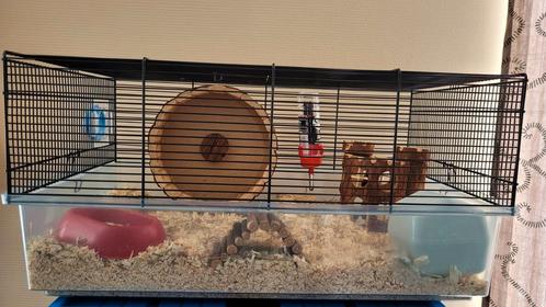 Hamsterkooi, Dieren en Toebehoren, Knaagdieren en Konijnen | Hokken en Kooien, Gebruikt, Kooi, Minder dan 60 cm, Minder dan 75 cm