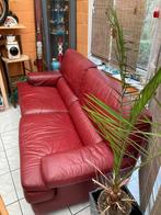 Bordeaux lederen zetel., Ophalen