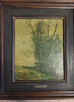 Schilderij Hippolyte Boulenger - Lente te Boschvoorde, Antiek en Kunst, Ophalen of Verzenden