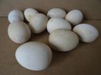 Collection d'oeufs artificiels 10x euf artificiel vintage, Collections, Enlèvement ou Envoi