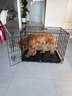 bench voor een hond (medium), Dieren en Toebehoren, Ophalen, Zo goed als nieuw